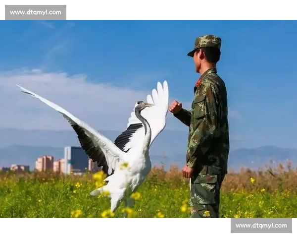 李智良:用青春守护盐城足球的 “钢铁长城” 李智良:用青春守护盐城足球的 “钢铁长城”